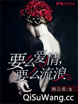 要么爱情，要么流浪小说