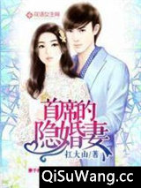 首席的隐婚妻小说