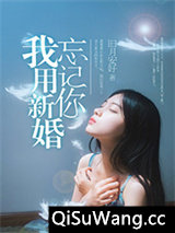 我用新婚忘记你小说