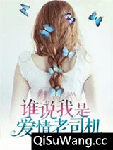 谁说我是爱情老司机小说