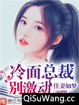 佳妻如梦：冷面总裁别激动小说