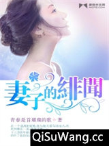 妻子的绯闻小说