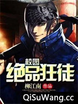 绝顶狂神小说