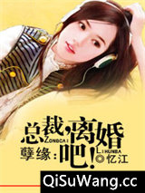 独家姻缘：前妻，离婚无效小说