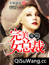 我的完美女总裁小说