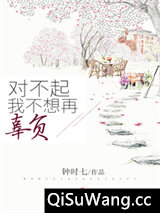 对不起，我不想再辜负小说