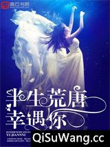 半生荒唐幸遇你小说