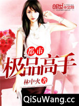 都市极品高手小说