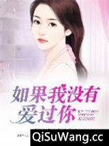 如果我没有爱过你小说