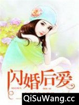 闪婚后爱小说