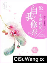 论一个财迷的自我修养小说