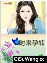 时来孕转小说