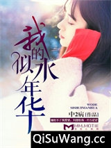 我的似水年华小说