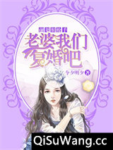 前妻很抢手：老婆我们复婚吧小说