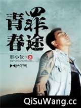 青春罪途小说