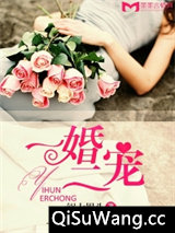 一婚二宠小说