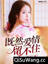 既然爱情留不住小说