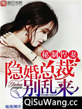 秘制悍妻:隐婚总裁别乱来小说