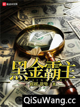 黑金霸主小说