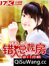 逃妻，束手就爱小说