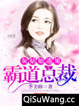 灰姑娘遇见霸道总裁小说