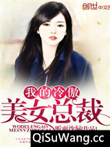 我的冷傲美女总裁小说