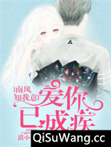 南风知我意，爱你已成疾小说