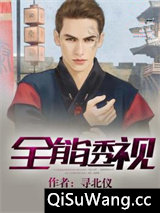 全能透视小说