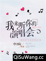 我来听你的演唱会小说