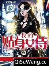 我的贴身女侍小说