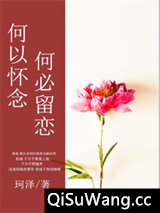 何以怀念，何必留恋小说