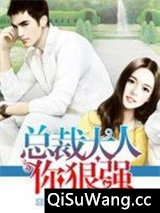 总裁大人你狠强小说