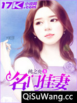 名门佳妻小说