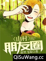 山村朋友圈小说