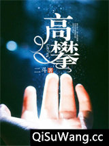 高攀小说