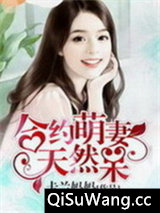 合约萌妻天然呆小说