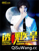 透视医皇小说