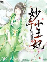 妙手小王妃小说