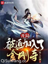 开局被迫加入了金刚寺小说