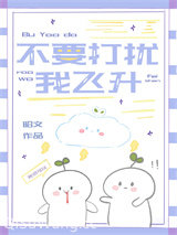 不要打扰我飞升小说