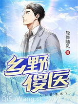 乡野傻医小说