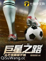 巨星之路从巴蒂模板开始小说
