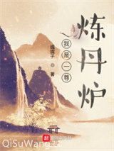 我是一尊炼丹炉小说
