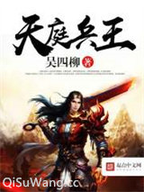 天庭兵王小说