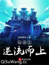 仙武之逆流而上小说