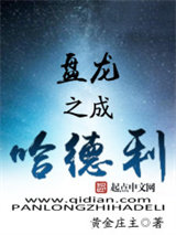 盘龙之成哈德利小说