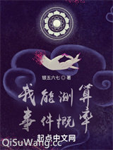 我能测算事件概率小说