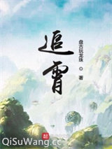 追霄小说