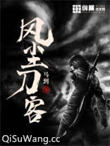 风尘刀客小说
