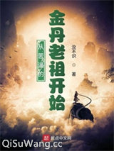 从苦逼的金丹老祖开始小说